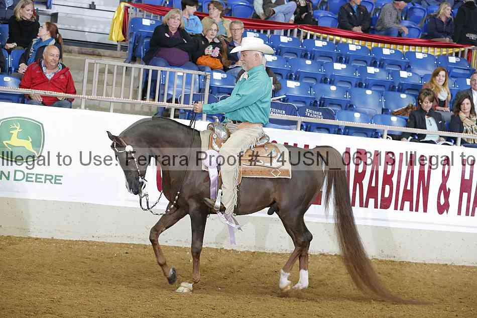 Proof 14usn_06313