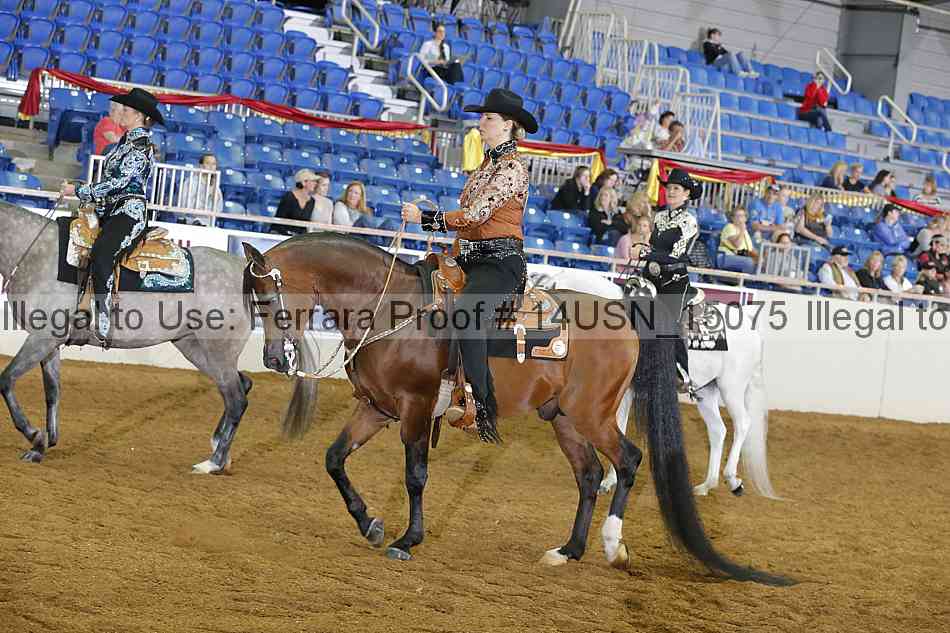 Proof 14usn_15075