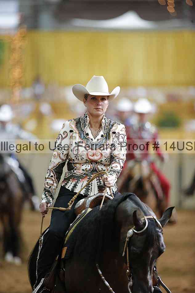 Proof 14usn_15078