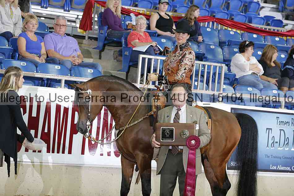 Proof 14usn_15104