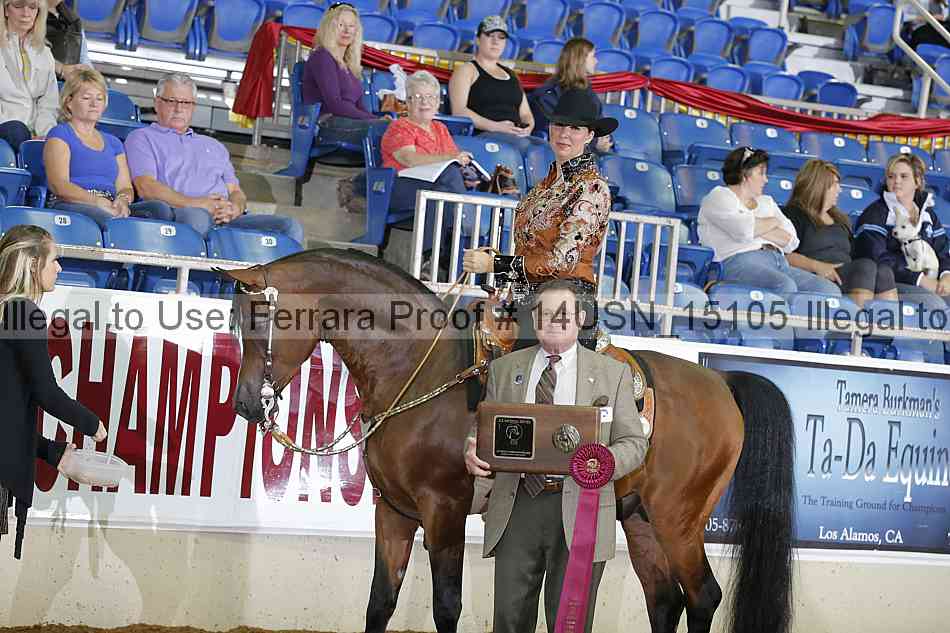 Proof 14usn_15105