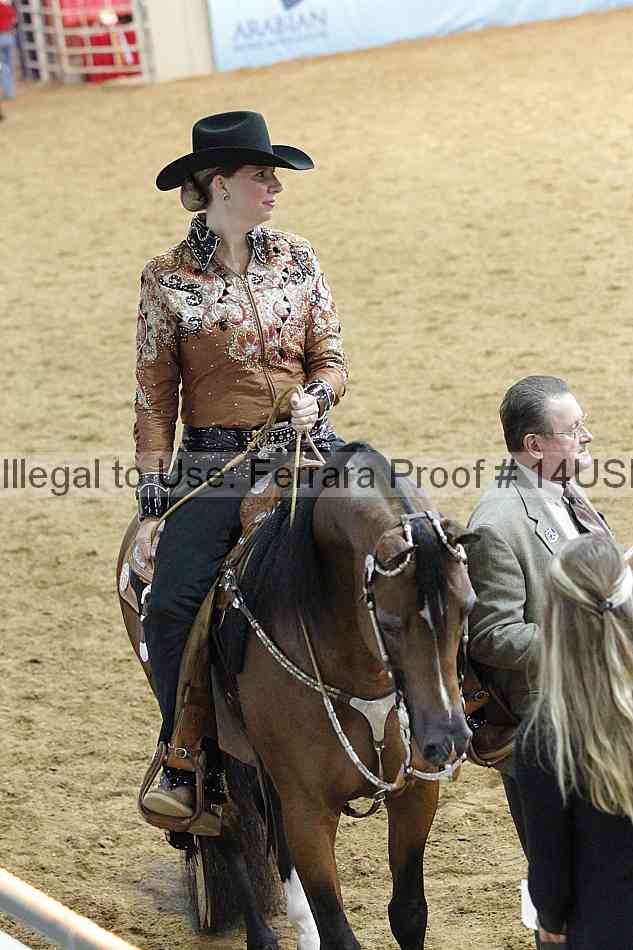 Proof 14usn_15106