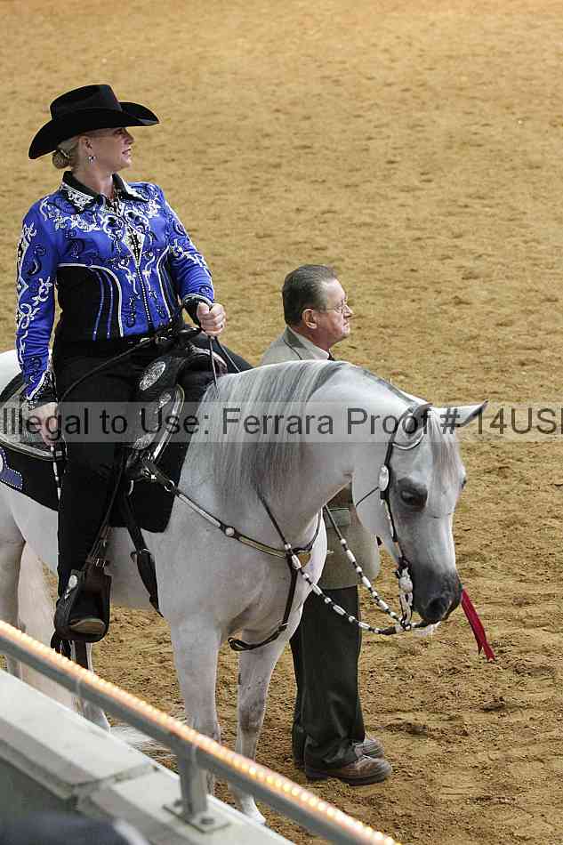 Proof 14usn_15109