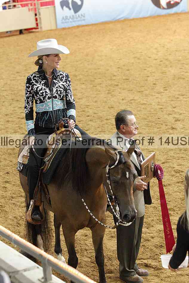 Proof 14usn_15119