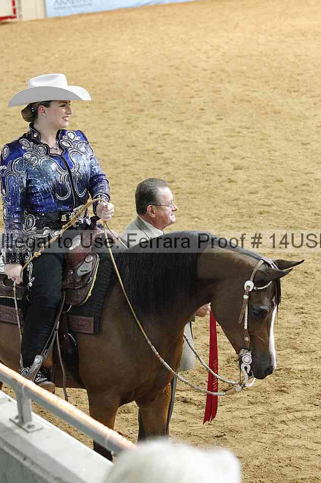 Proof 14usn_15124