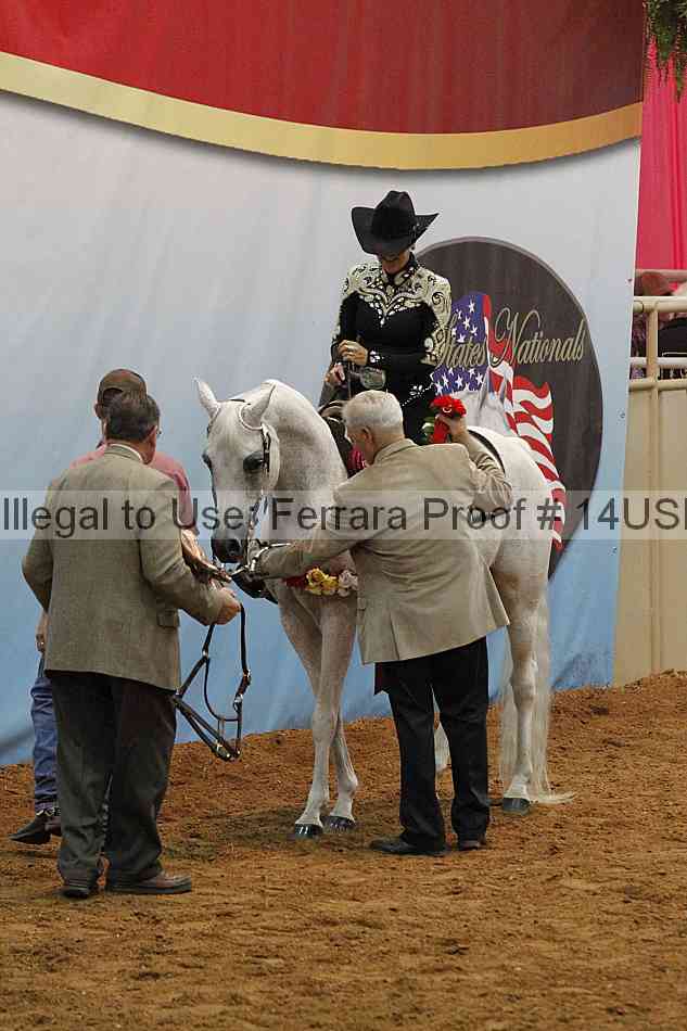 Proof 14usn_15135