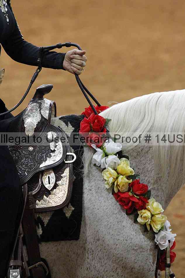Proof 14usn_15153