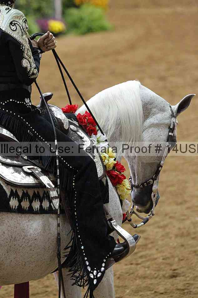 Proof 14usn_15154