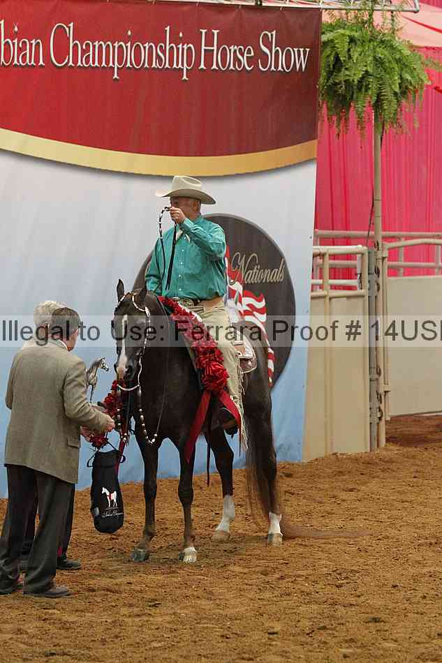 Proof 14usn_15165