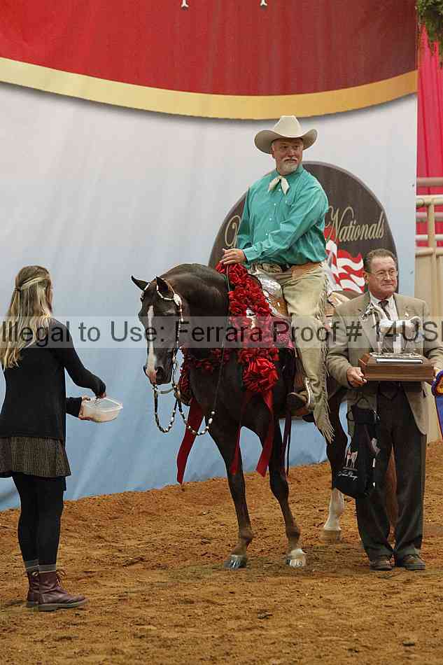 Proof 14usn_15167