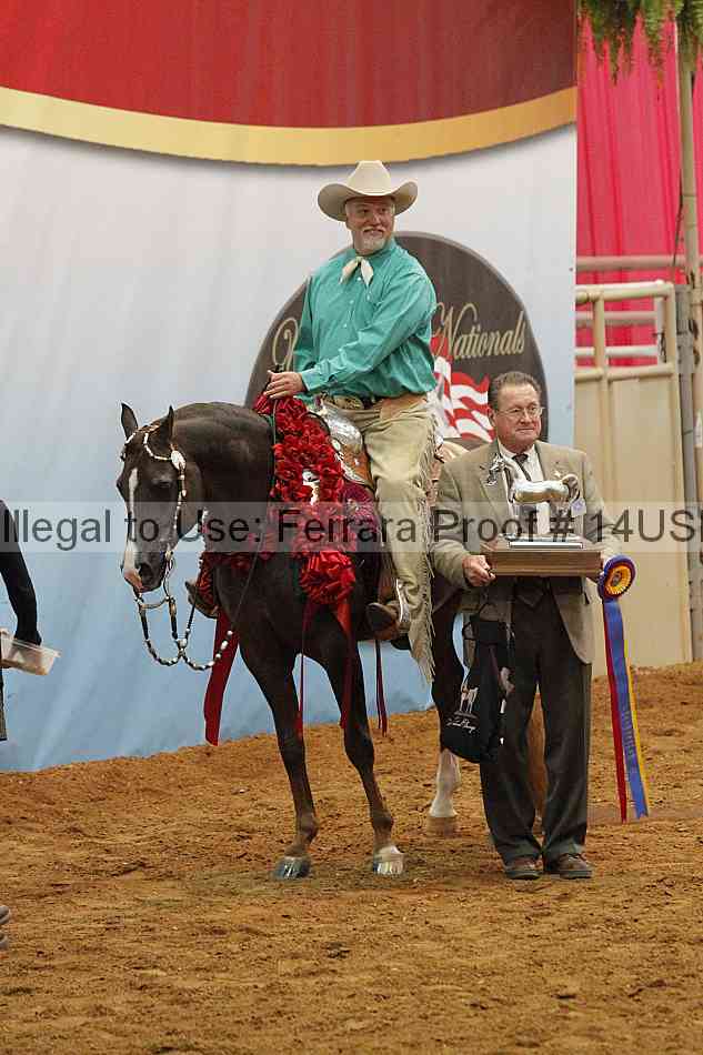 Proof 14usn_15168