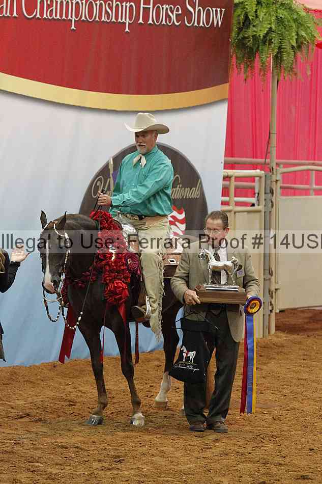 Proof 14usn_15170
