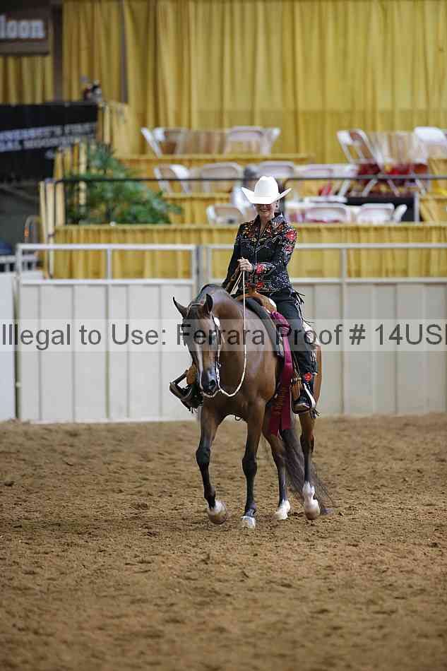 Proof 14usn_15182