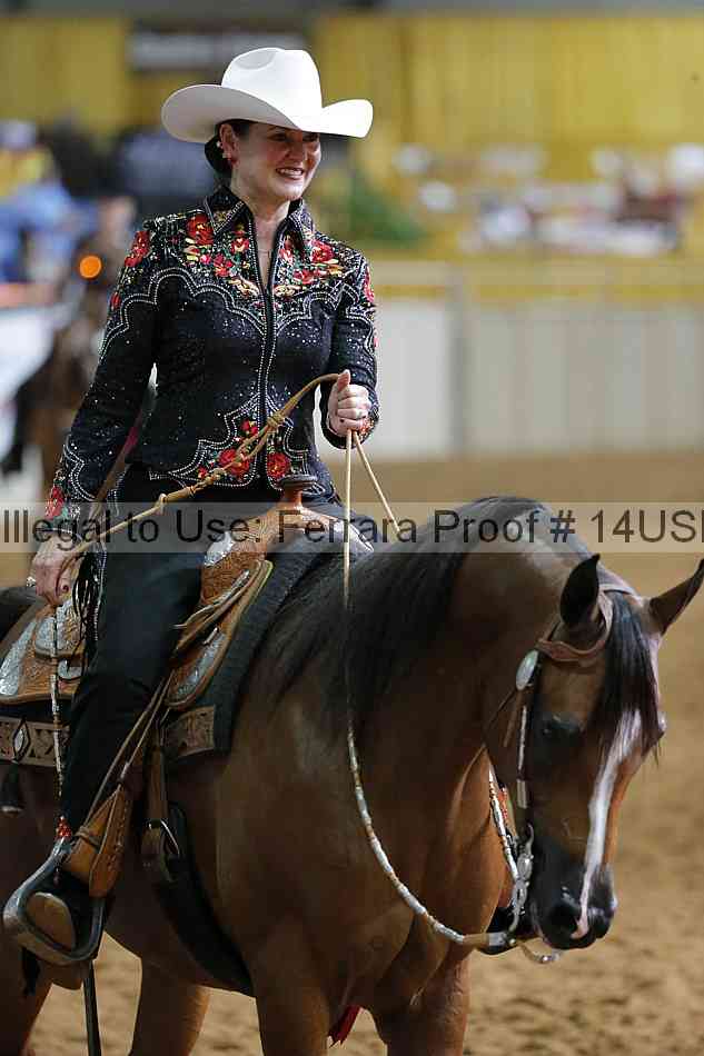 Proof 14usn_15189