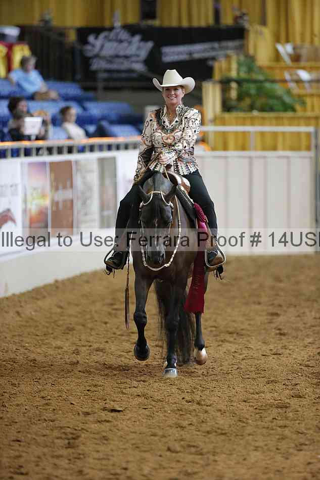 Proof 14usn_15197