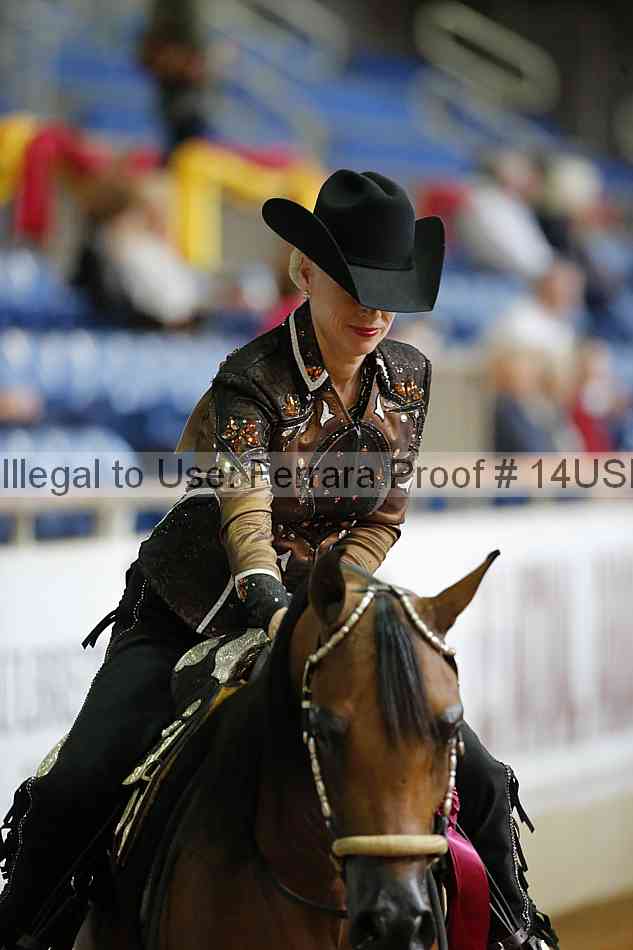 Proof 14usn_15198