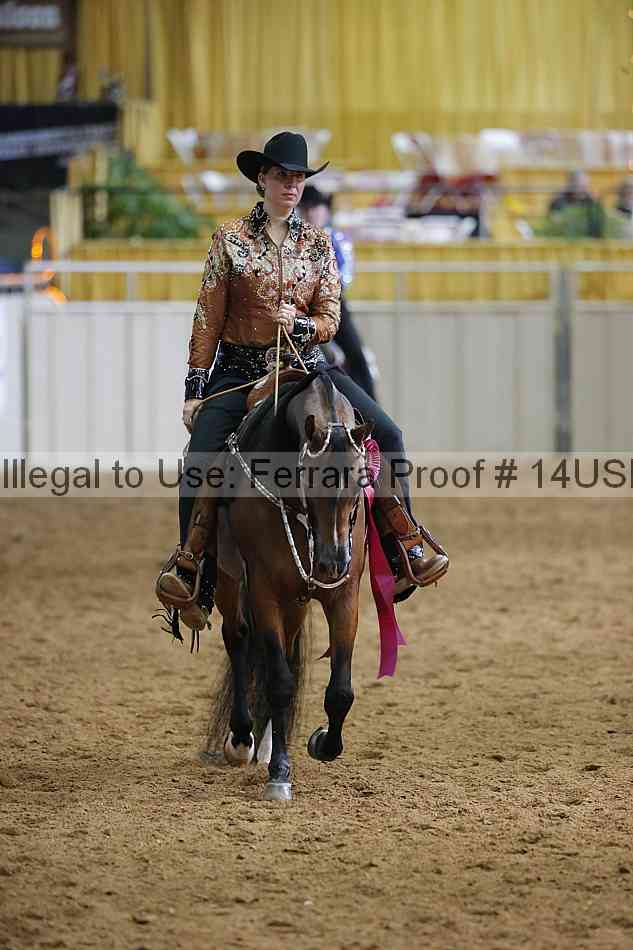 Proof 14usn_15211