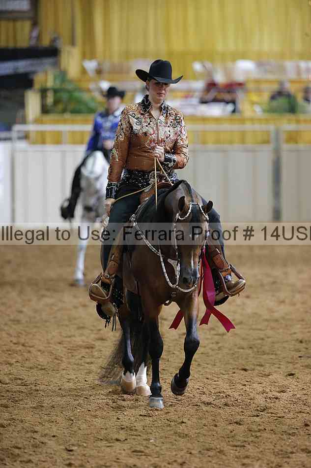 Proof 14usn_15213