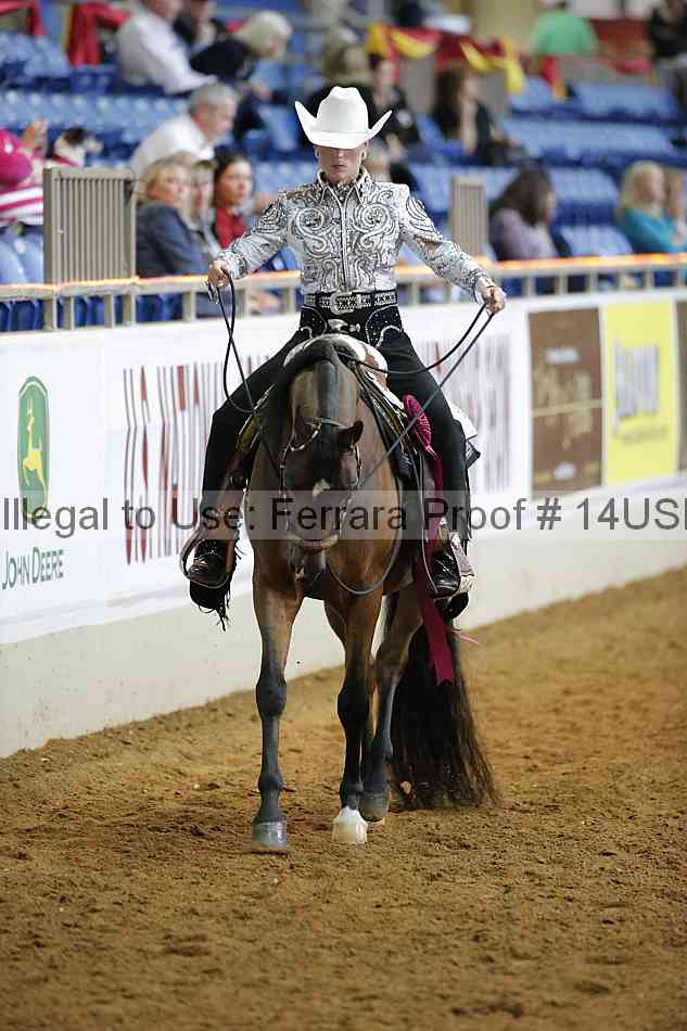 Proof 14usn_15236