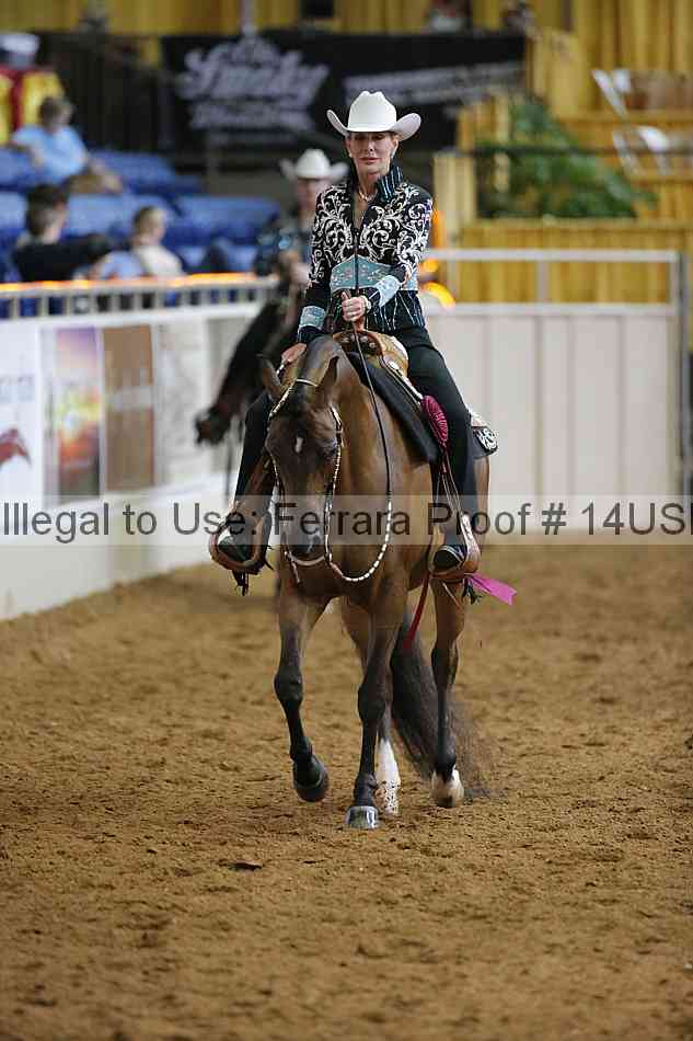 Proof 14usn_15246