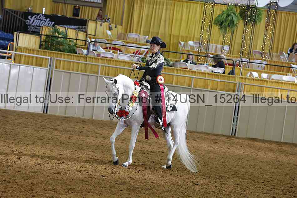 Proof 14usn_15264