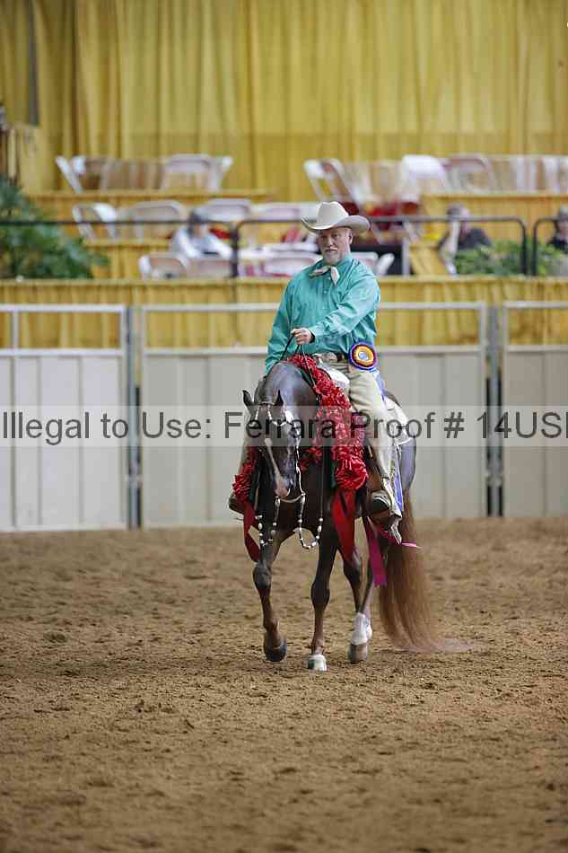 Proof 14usn_15291