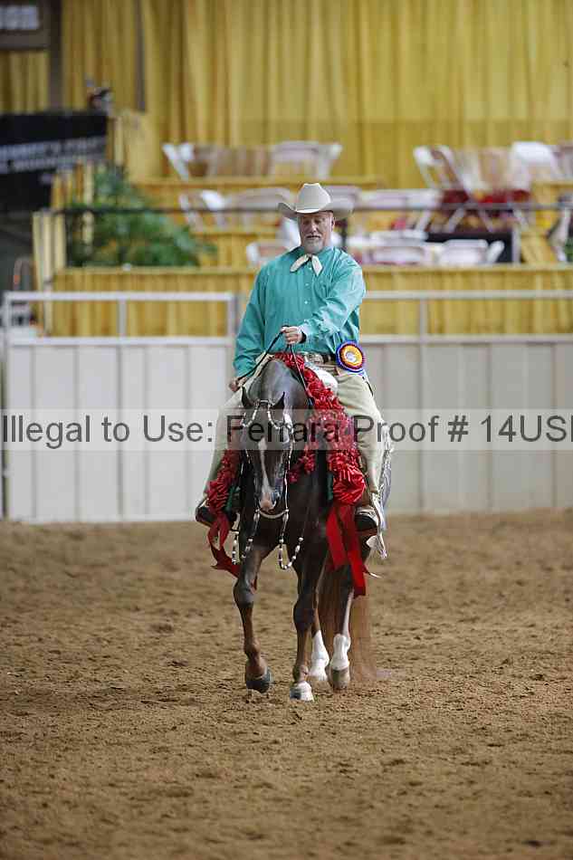 Proof 14usn_15296