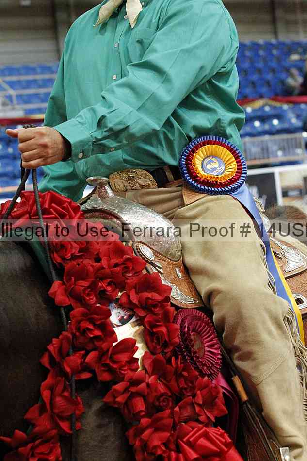 Proof 14usn_15322