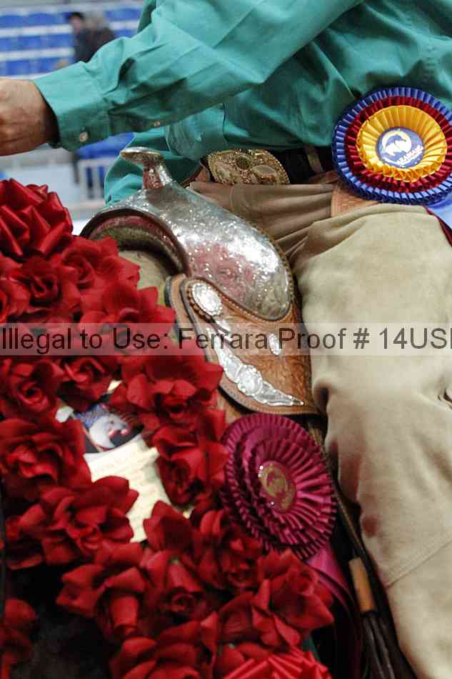 Proof 14usn_15323