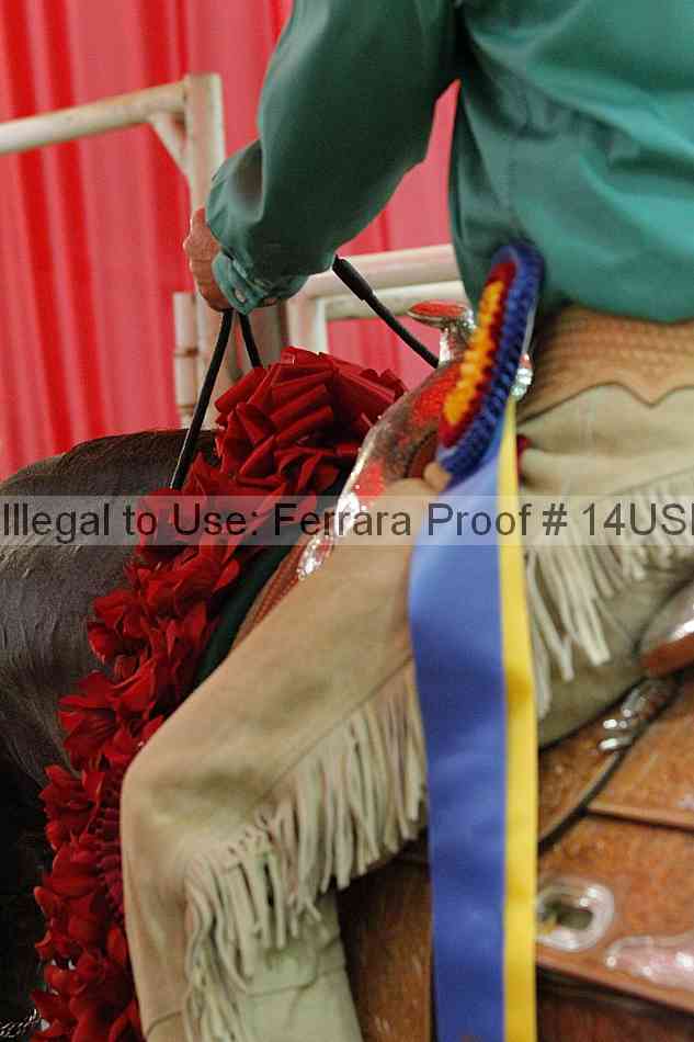 Proof 14usn_15324