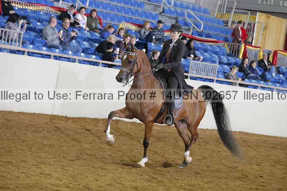 Proof 14usn_02657