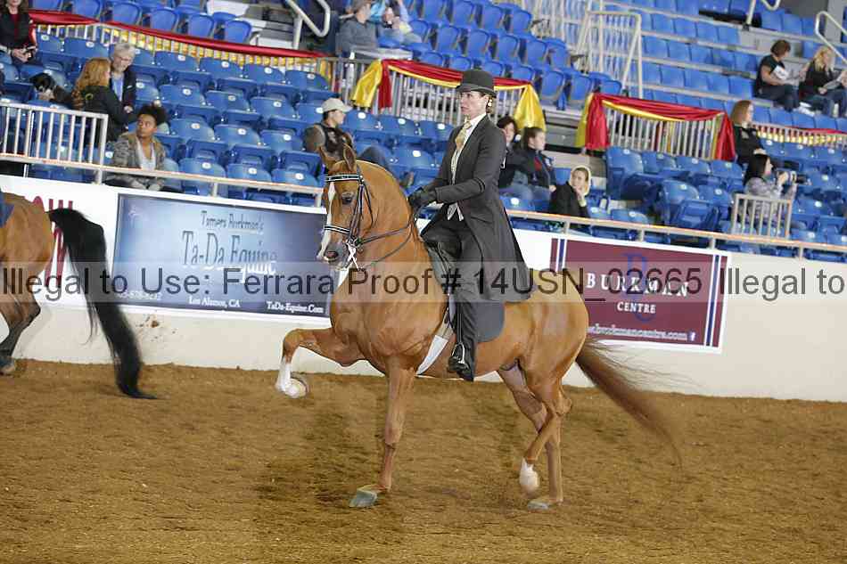 Proof 14usn_02665