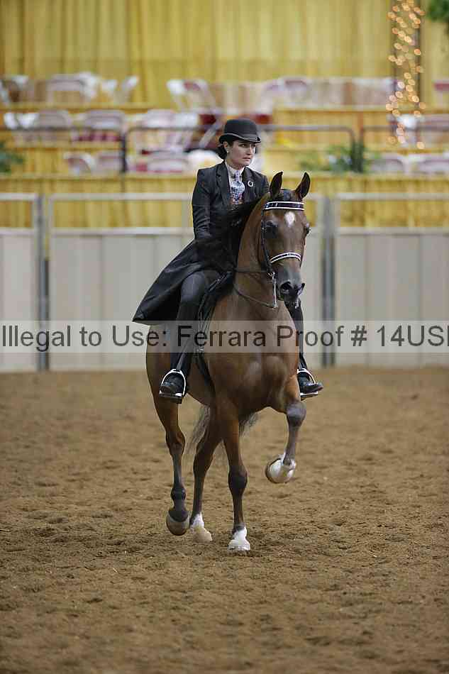 Proof 14usn_02667