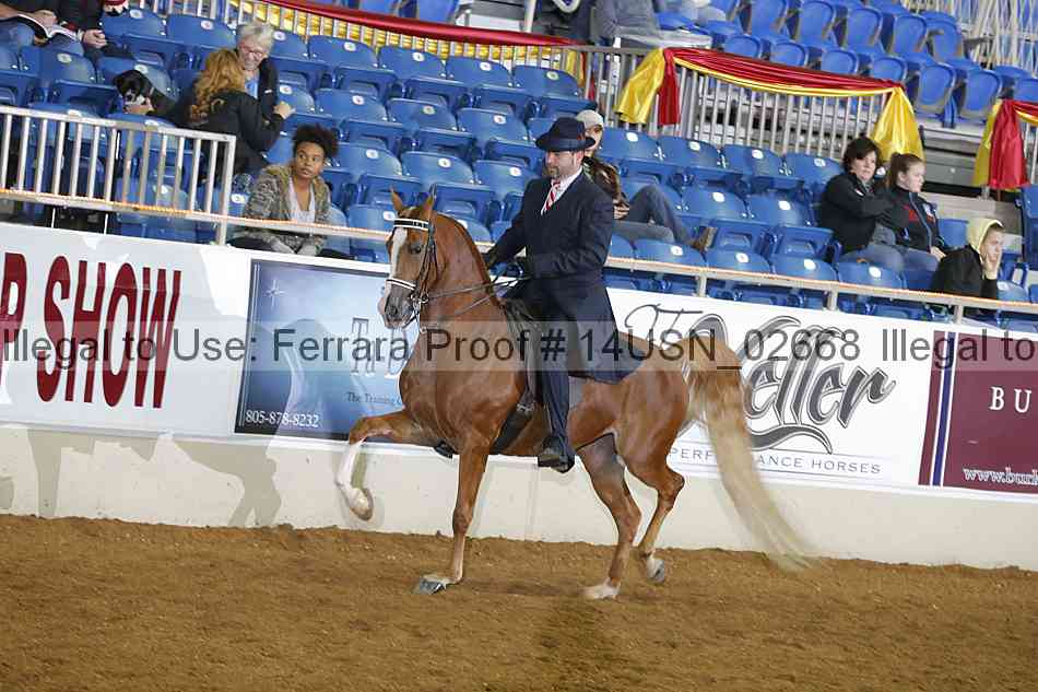 Proof 14usn_02668