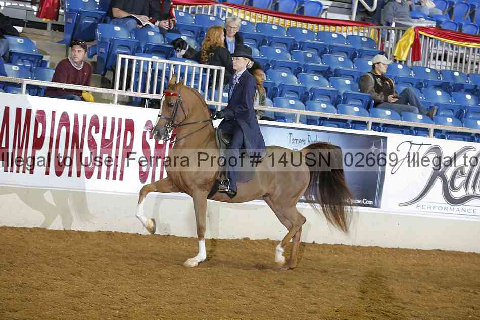 Proof 14usn_02669