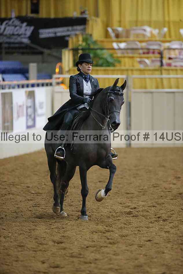 Proof 14usn_02670