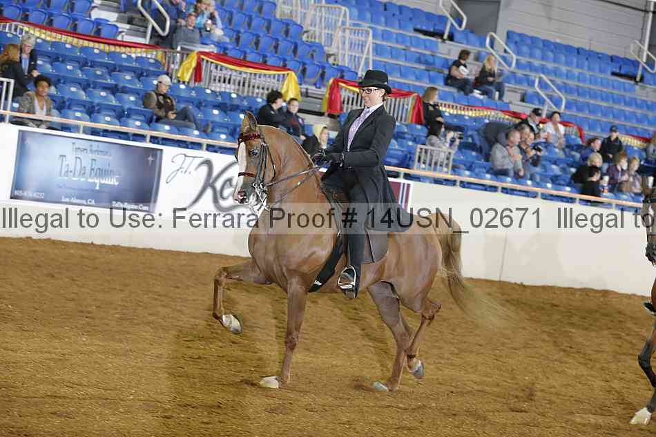 Proof 14usn_02671