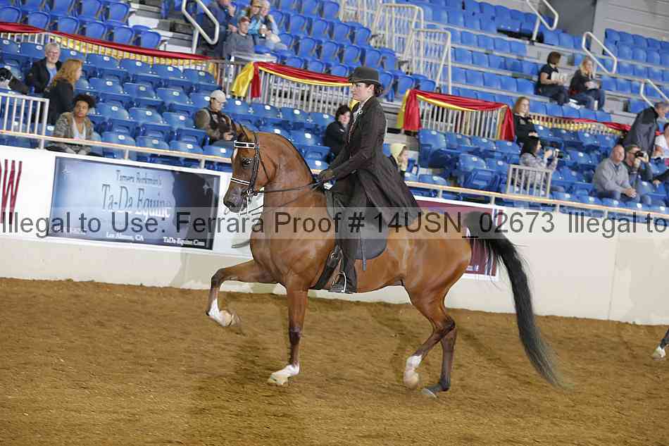 Proof 14usn_02673