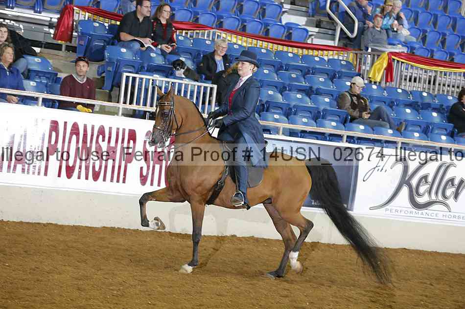 Proof 14usn_02674