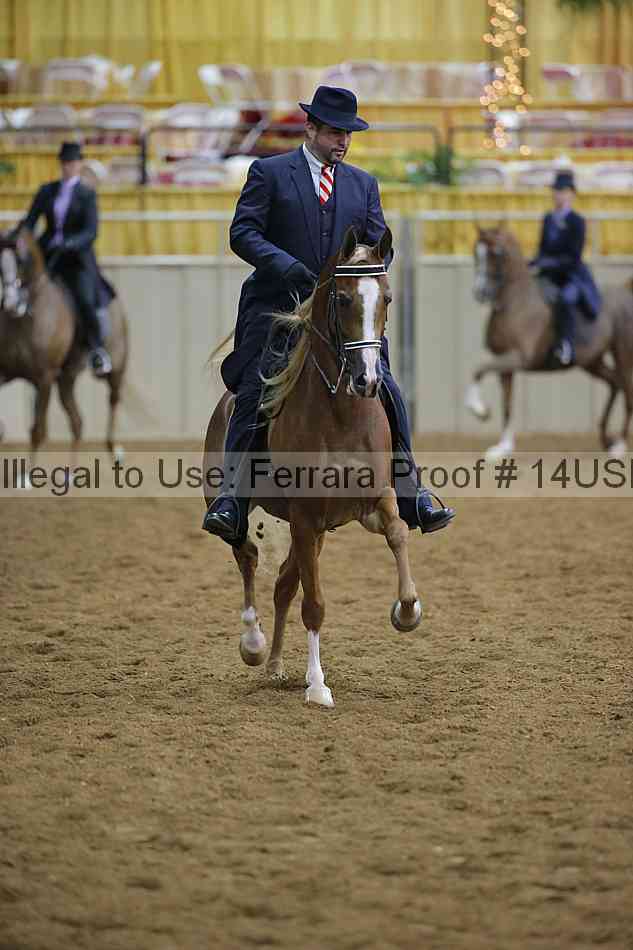 Proof 14usn_02675