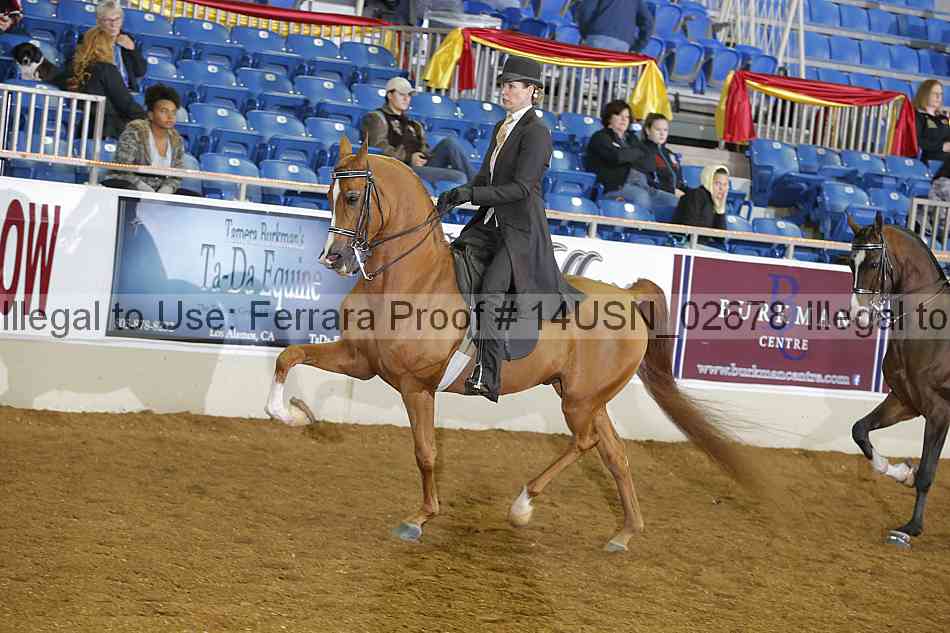 Proof 14usn_02678