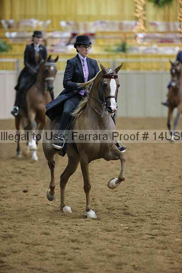 Proof 14usn_02679