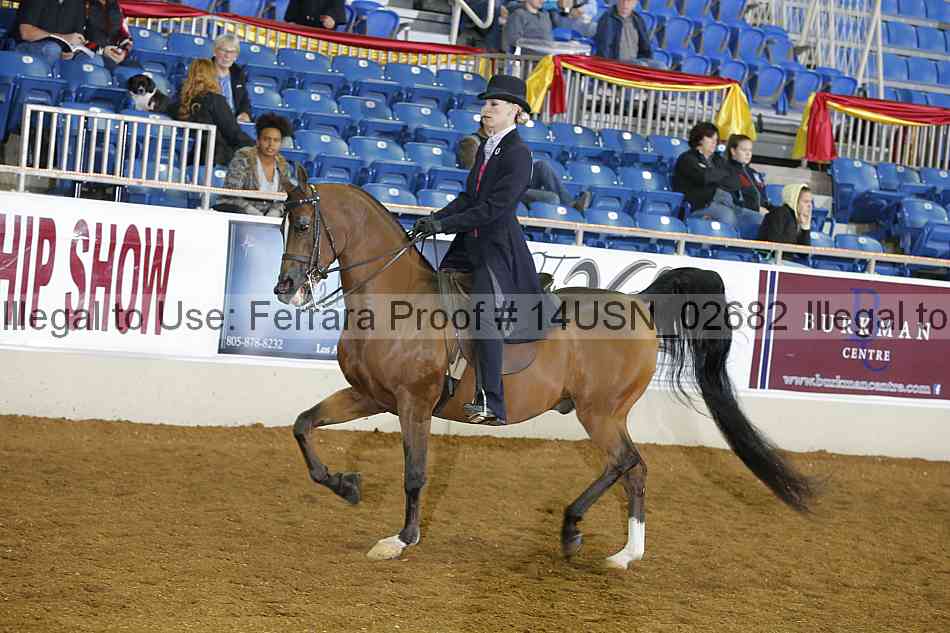 Proof 14usn_02682