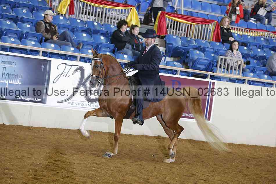 Proof 14usn_02683