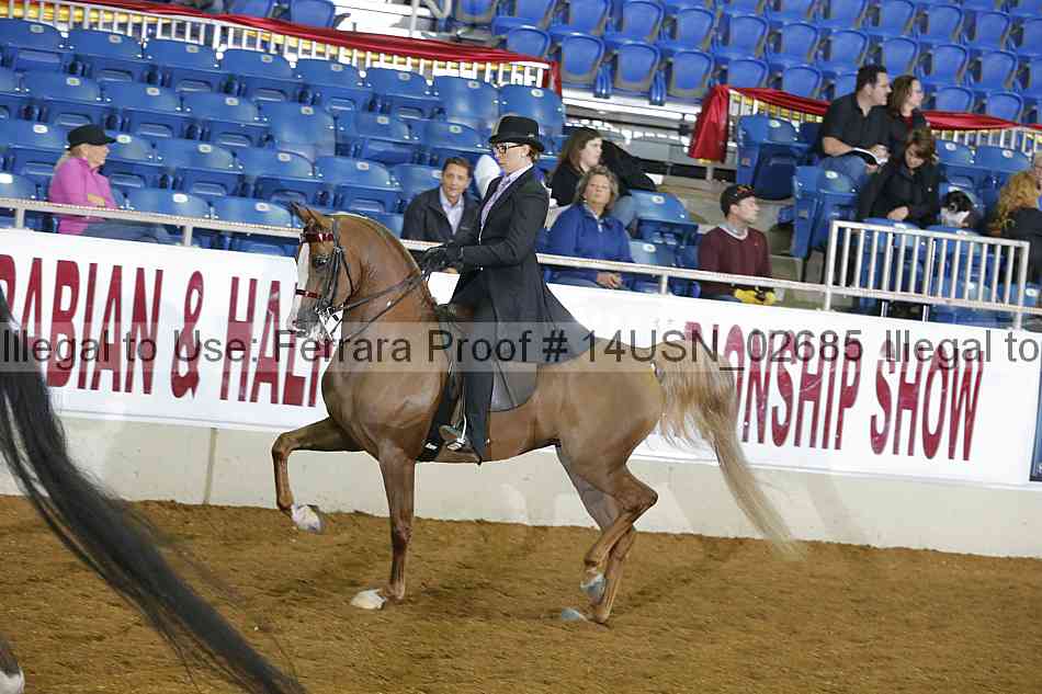 Proof 14usn_02685