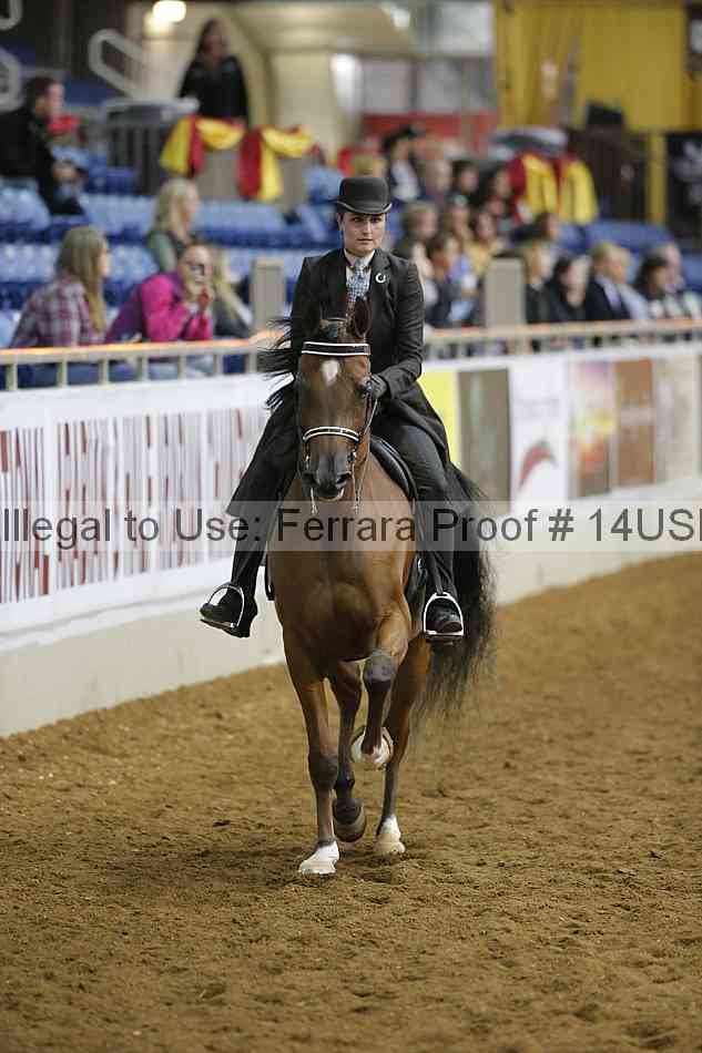 Proof 14usn_02688