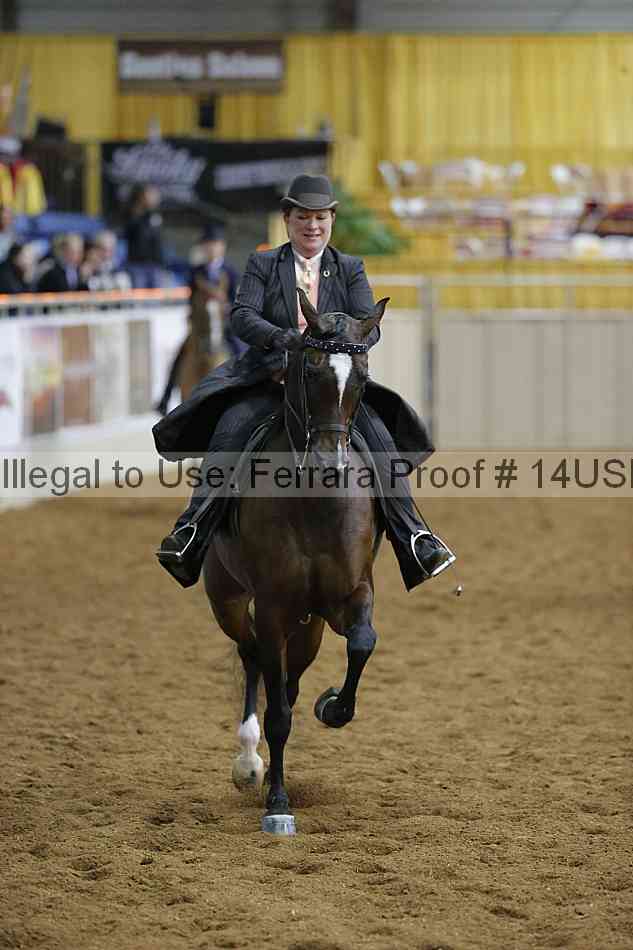 Proof 14usn_02693