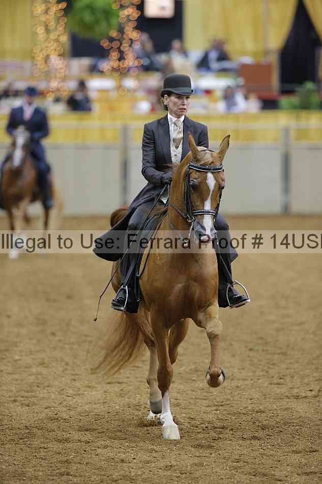 Proof 14usn_02699