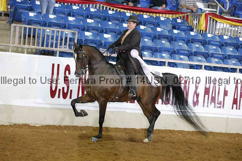 Proof 14usn_02710