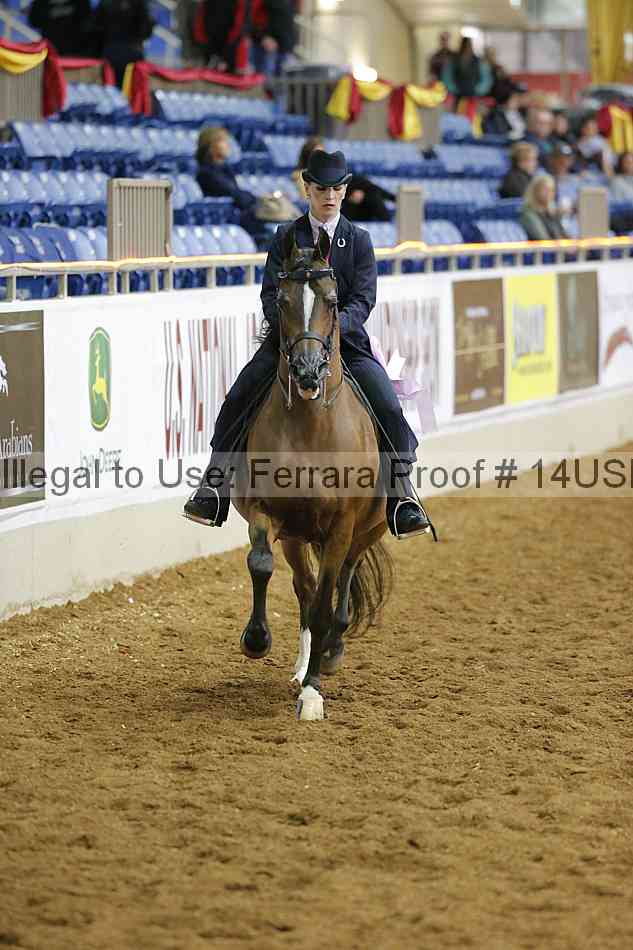 Proof 14usn_02711